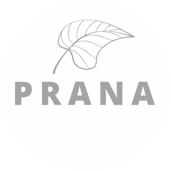 LOGO PRANA SENCILLO CURVAS LOGO PRANA SENCILLO CURVAS